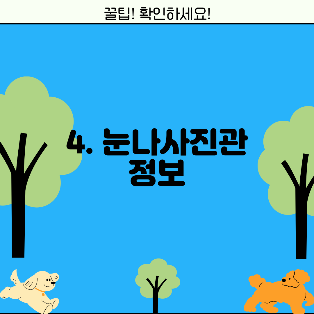 4. 눈나사진관 정보
