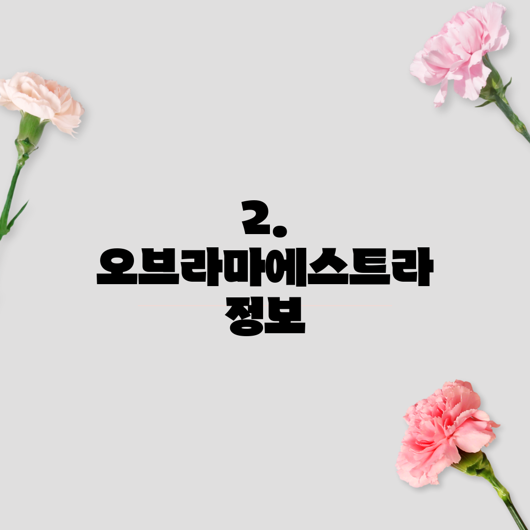 2. 오브라마에스트라 정보