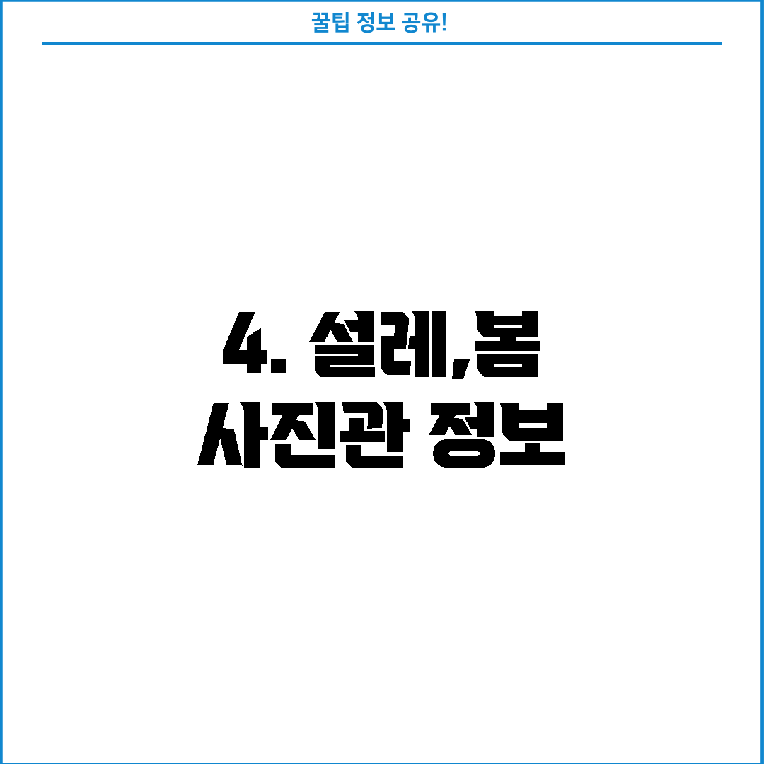 4. 설레,봄 사진관 정보