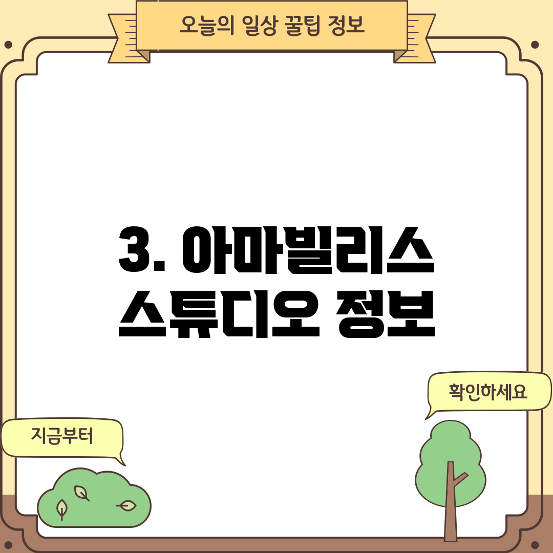 3. 아마빌리스 스튜디오 정보