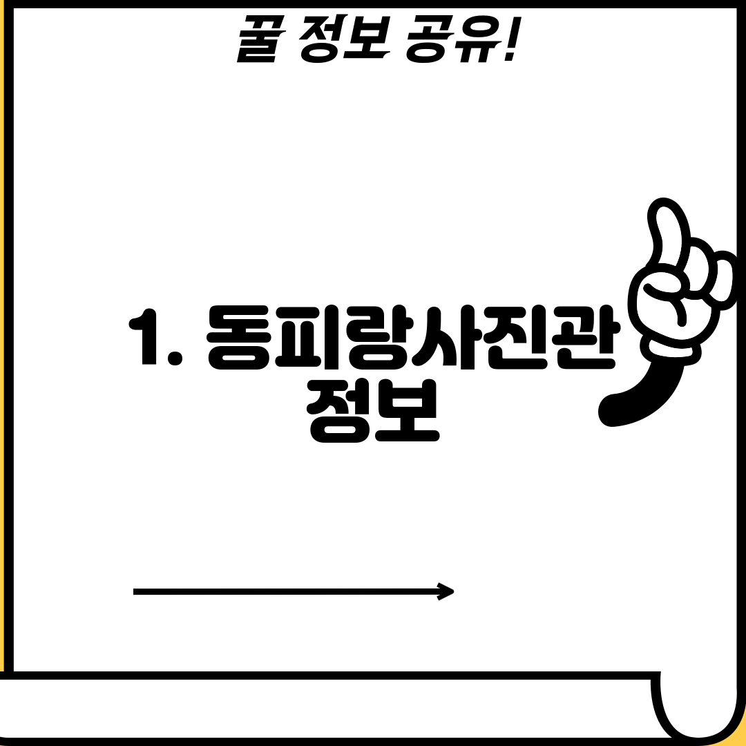 1. 동피랑사진관 정보