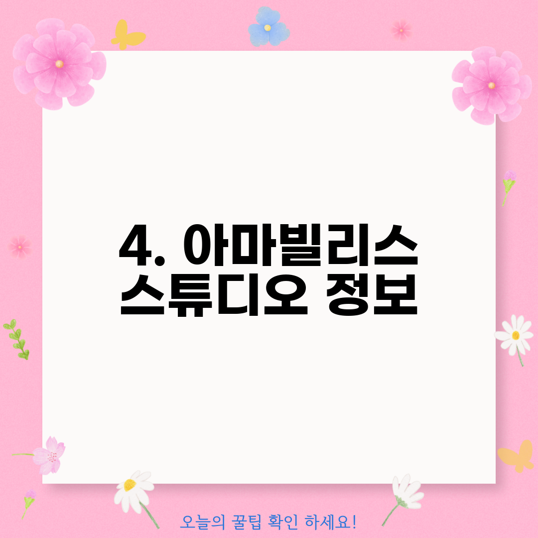 4. 아마빌리스 스튜디오 정보