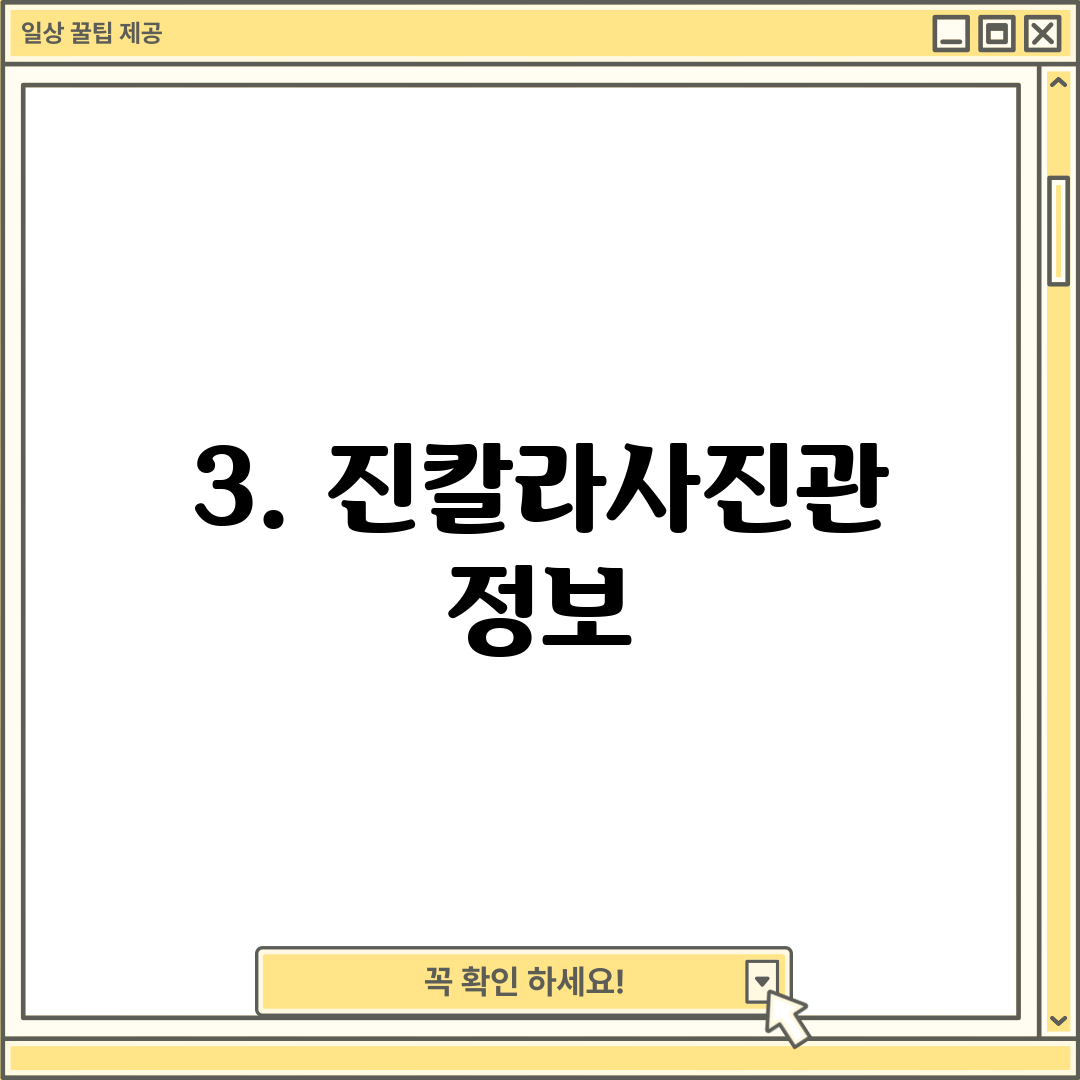 3. 진칼라사진관 정보