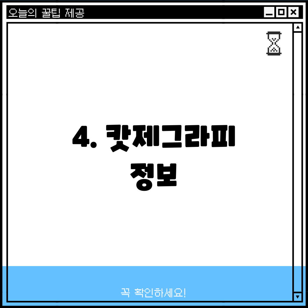 4. 캇제그라피 정보