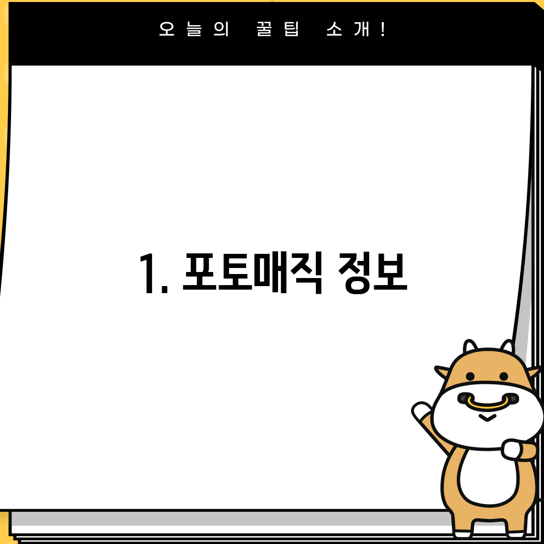 1. 포토매직 정보