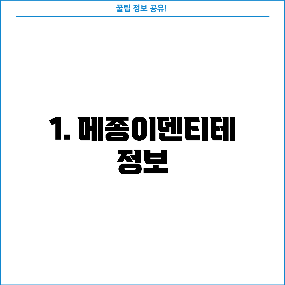 1. 메종이덴티테 정보