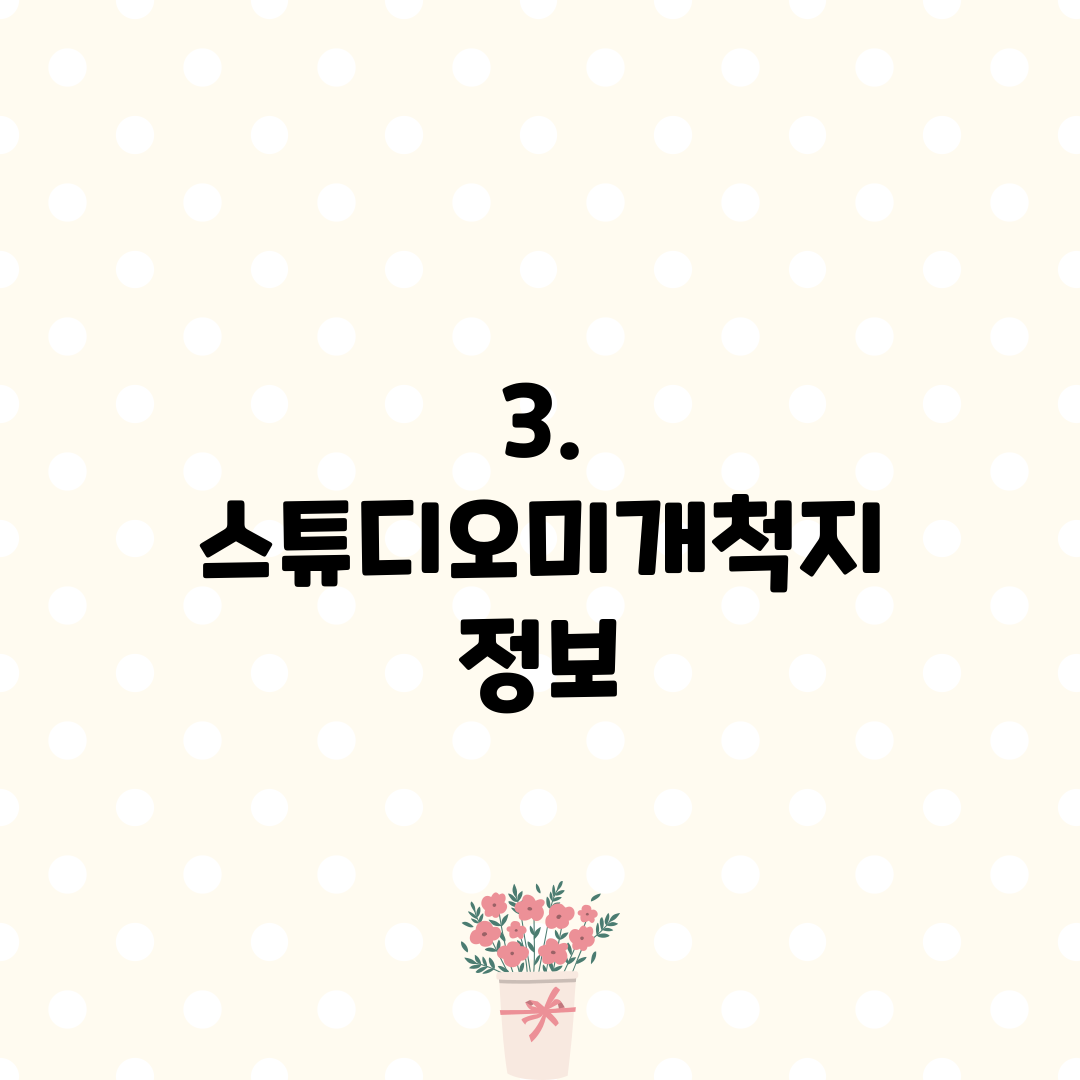3. 스튜디오미개척지 정보