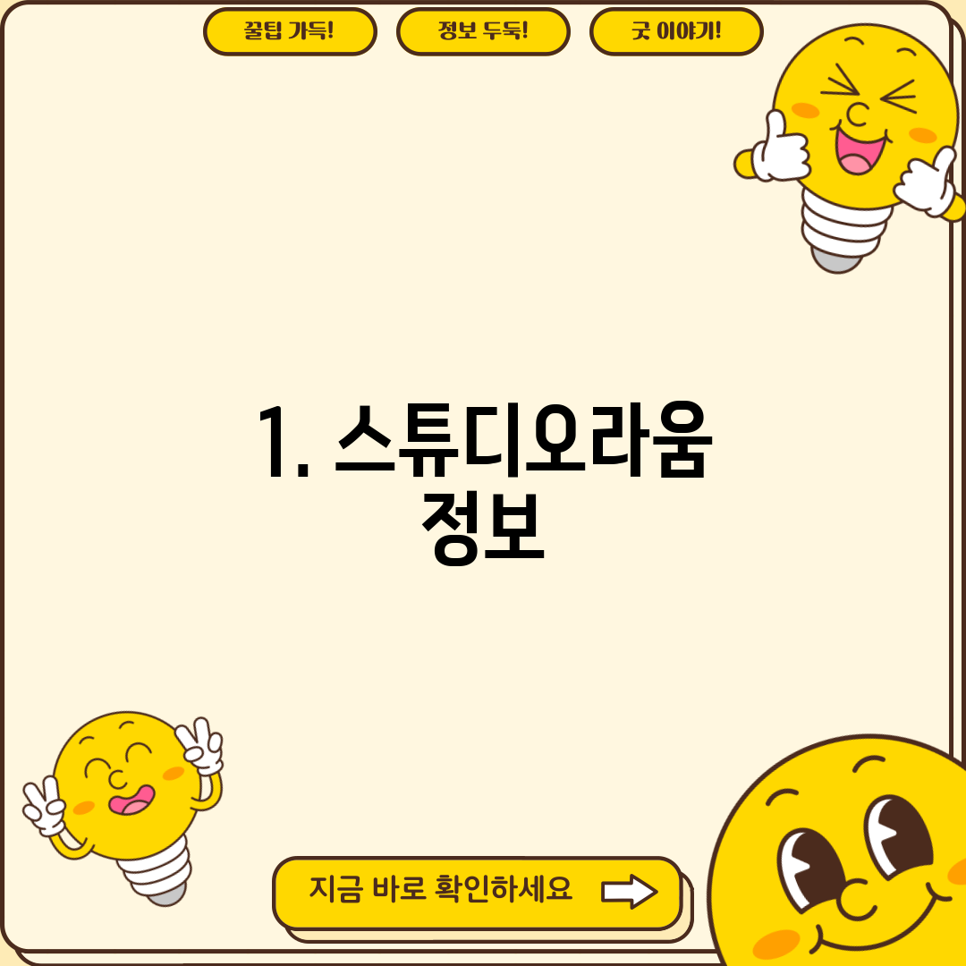 1. 스튜디오라움 정보