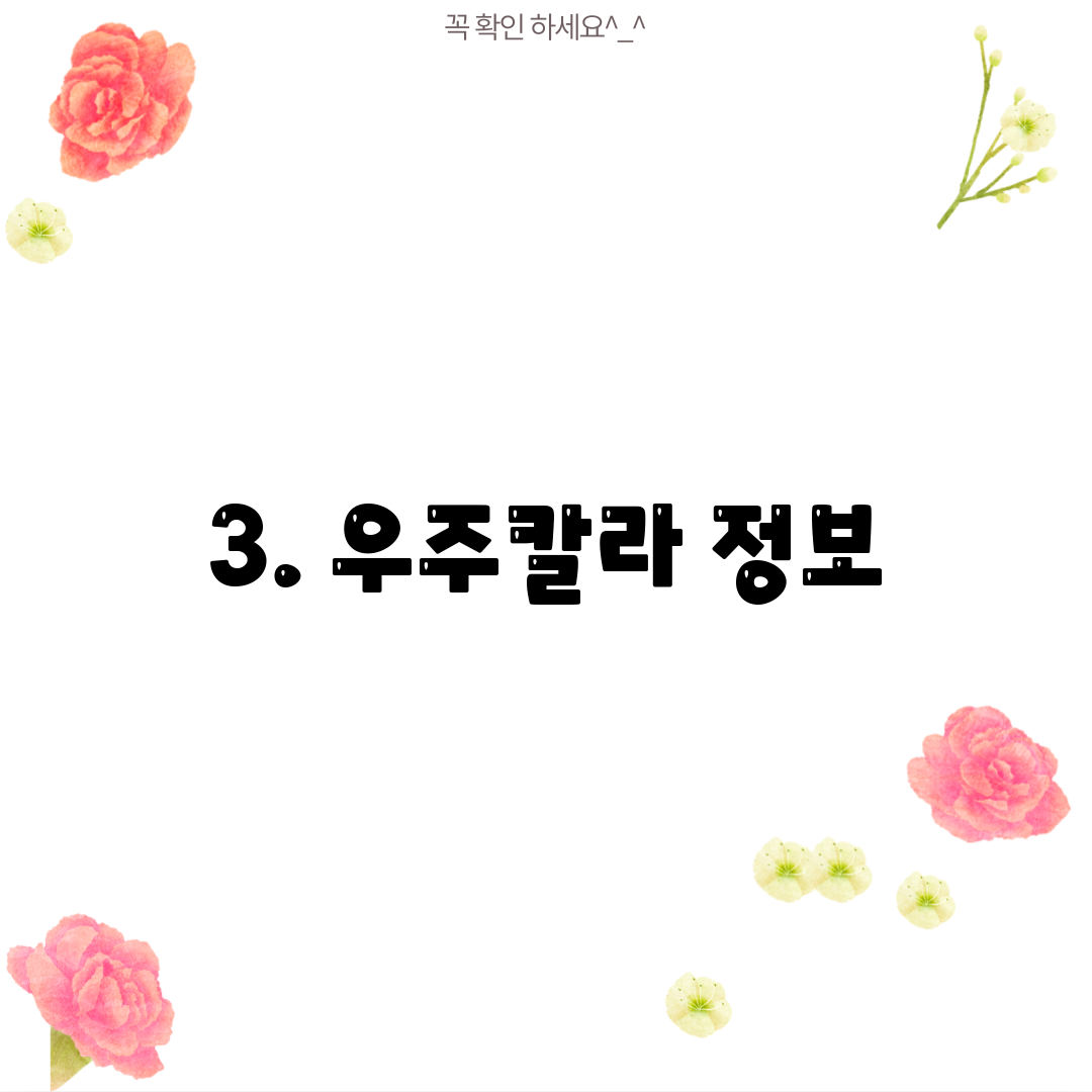 3. 우주칼라 정보