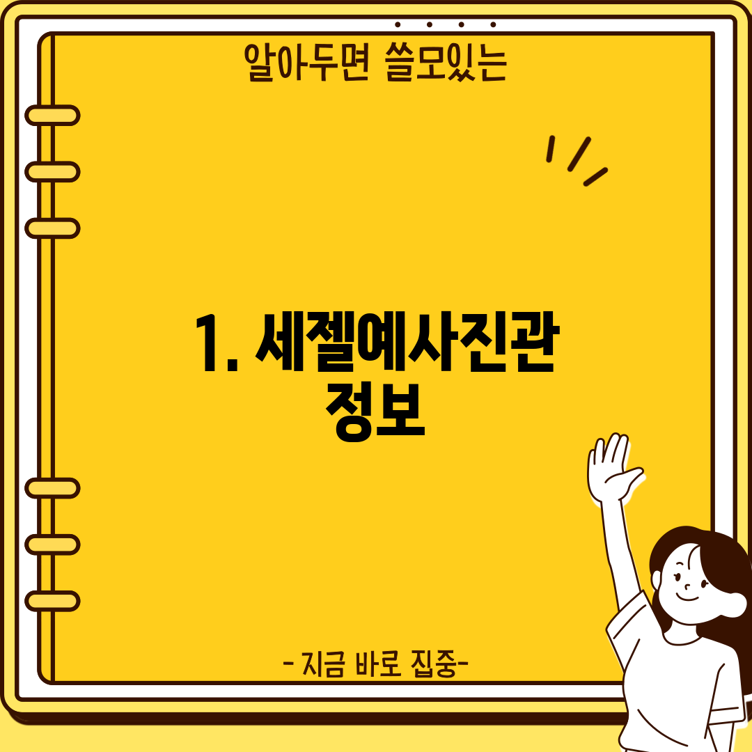 1. 세젤예사진관 정보