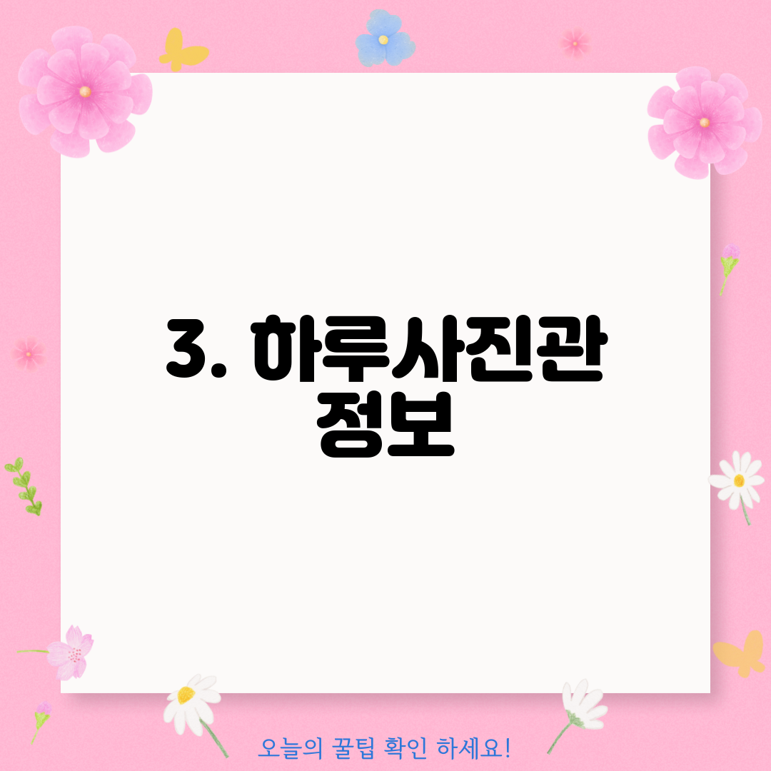 3. 하루사진관 정보