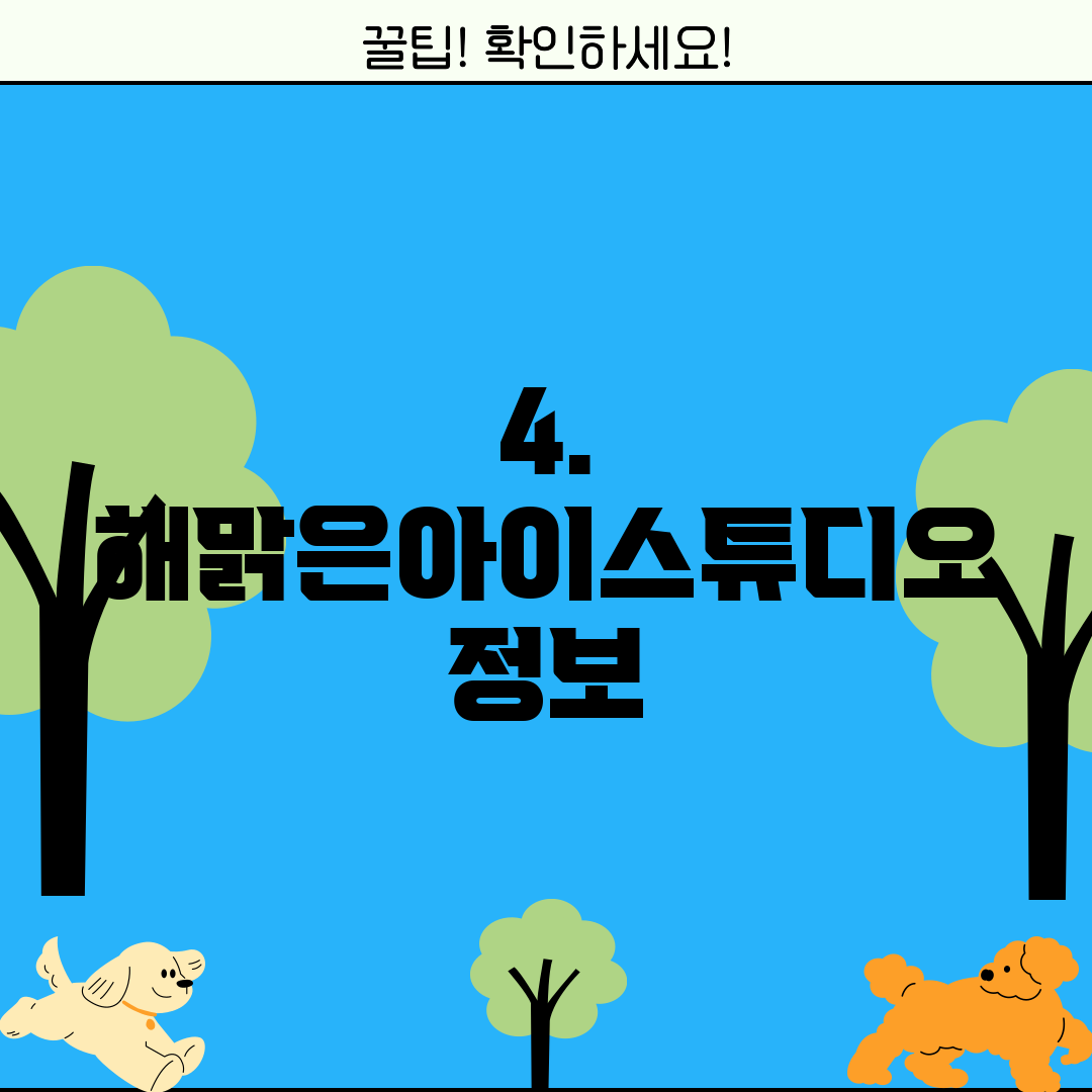 4. 해맑은아이스튜디오 정보