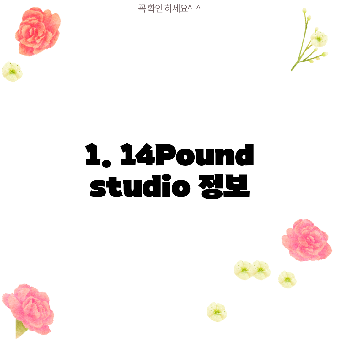 1. 14Pound studio 정보