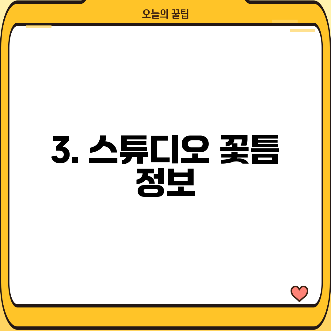 3. 스튜디오 꽃틈 정보