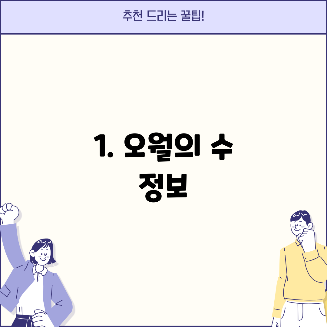 1. 오월의 수 정보