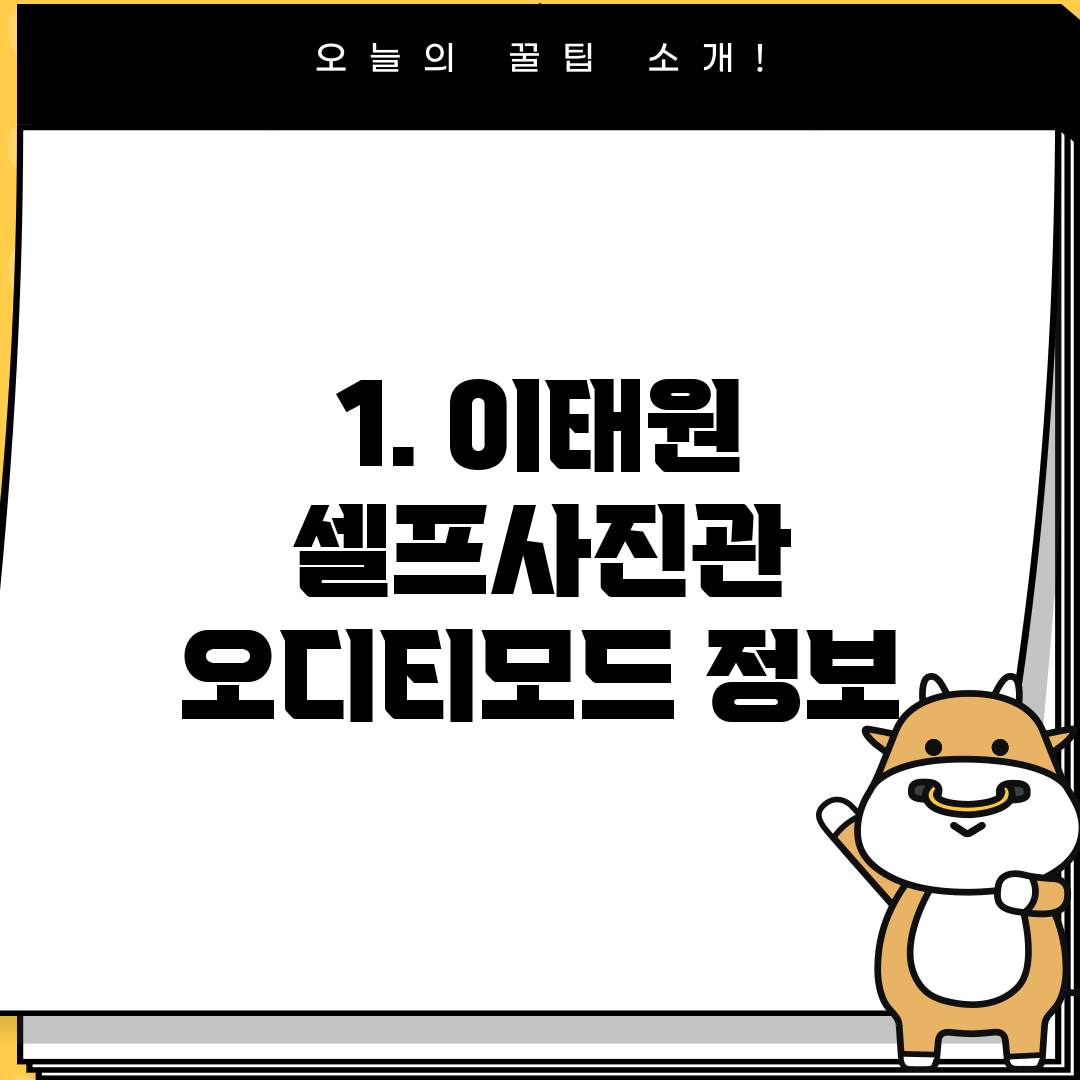 1. 이태원 셀프사진관 오디티모드 정보
