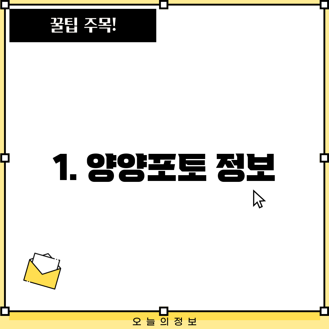 1. 양양포토 정보