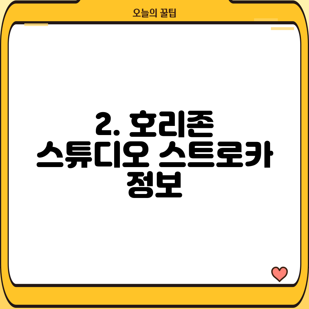 2. 호리존 스튜디오 스트로카 정보