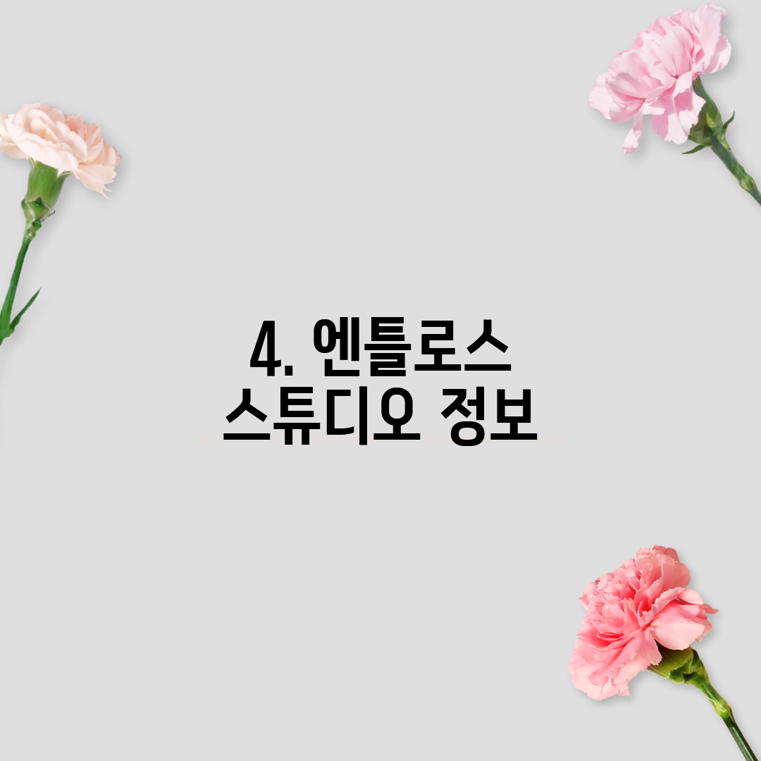 4. 엔틀로스 스튜디오 정보