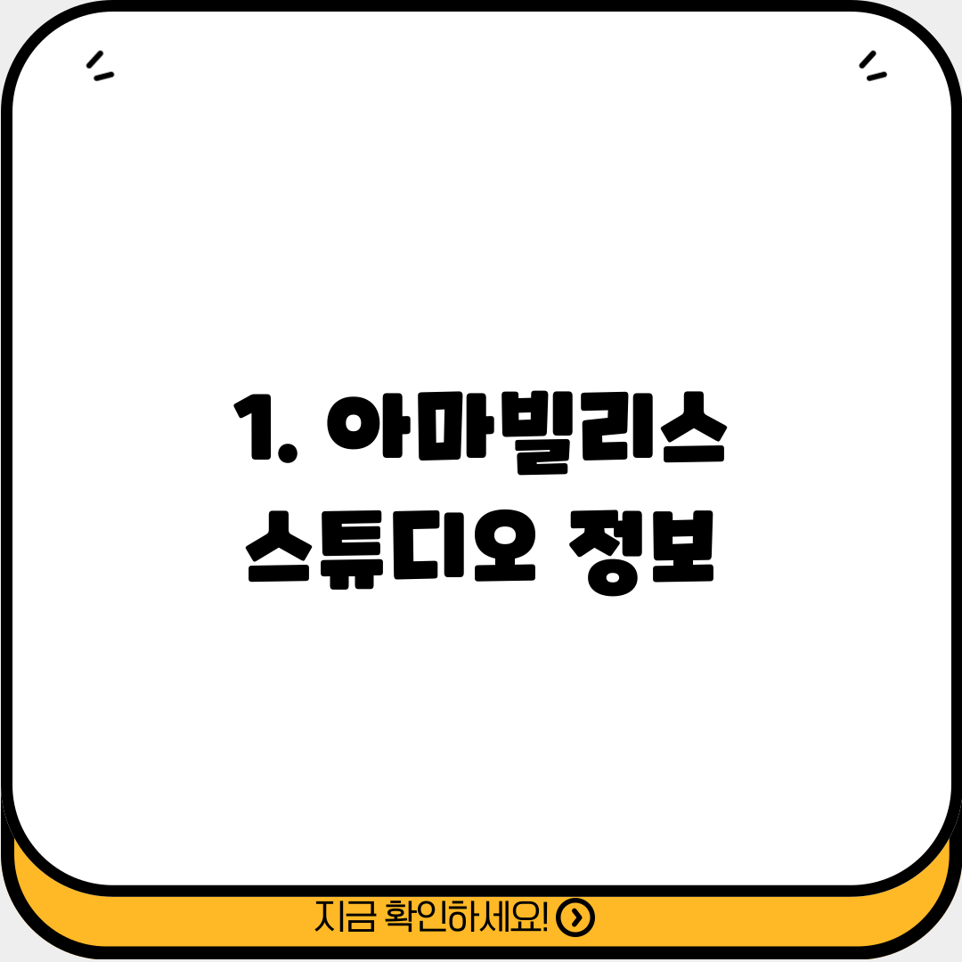 1. 아마빌리스 스튜디오 정보