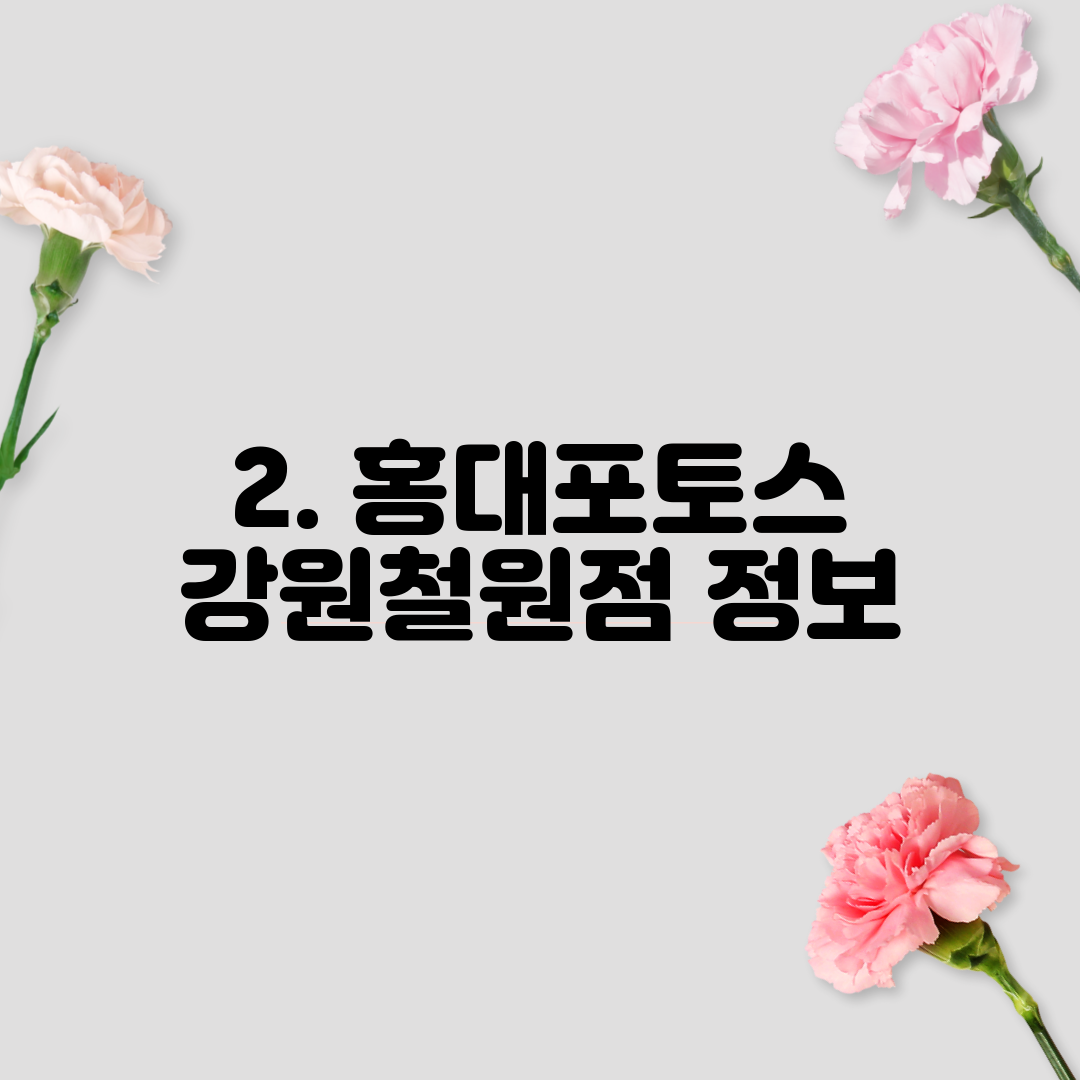 2. 홍대포토스 강원철원점 정보