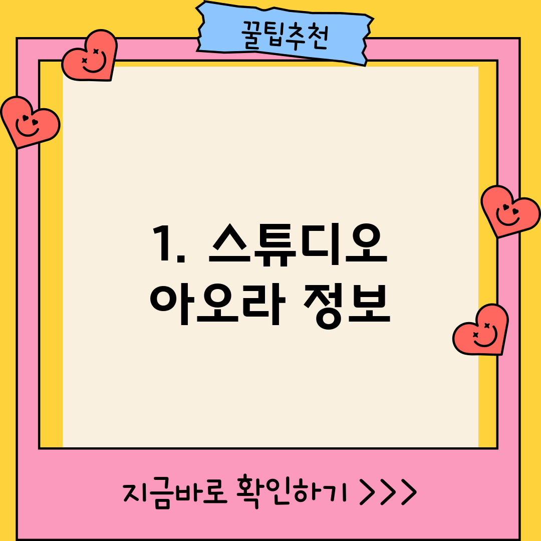 1. 스튜디오 아오라 정보