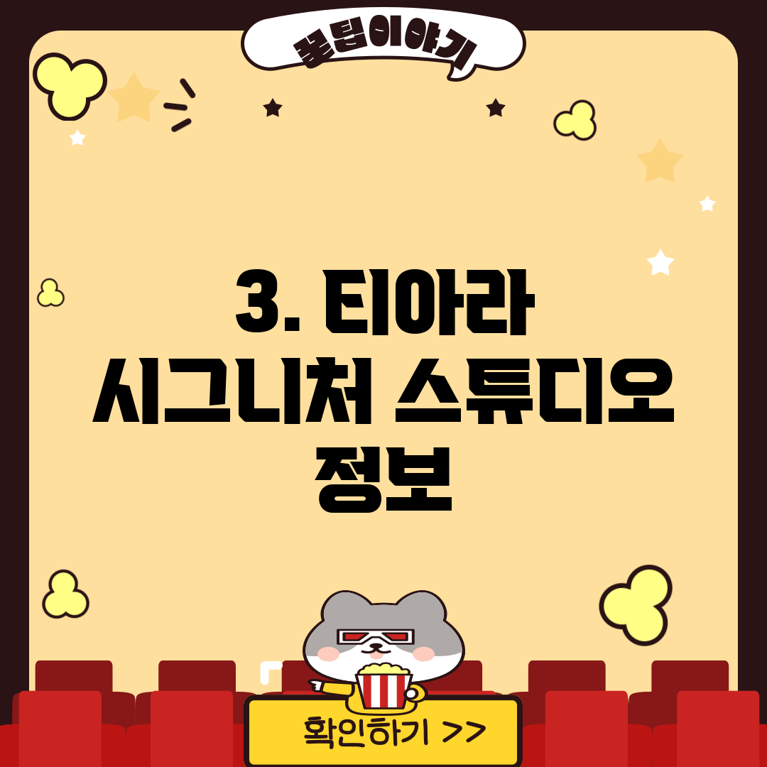 3. 티아라 시그니처 스튜디오 정보