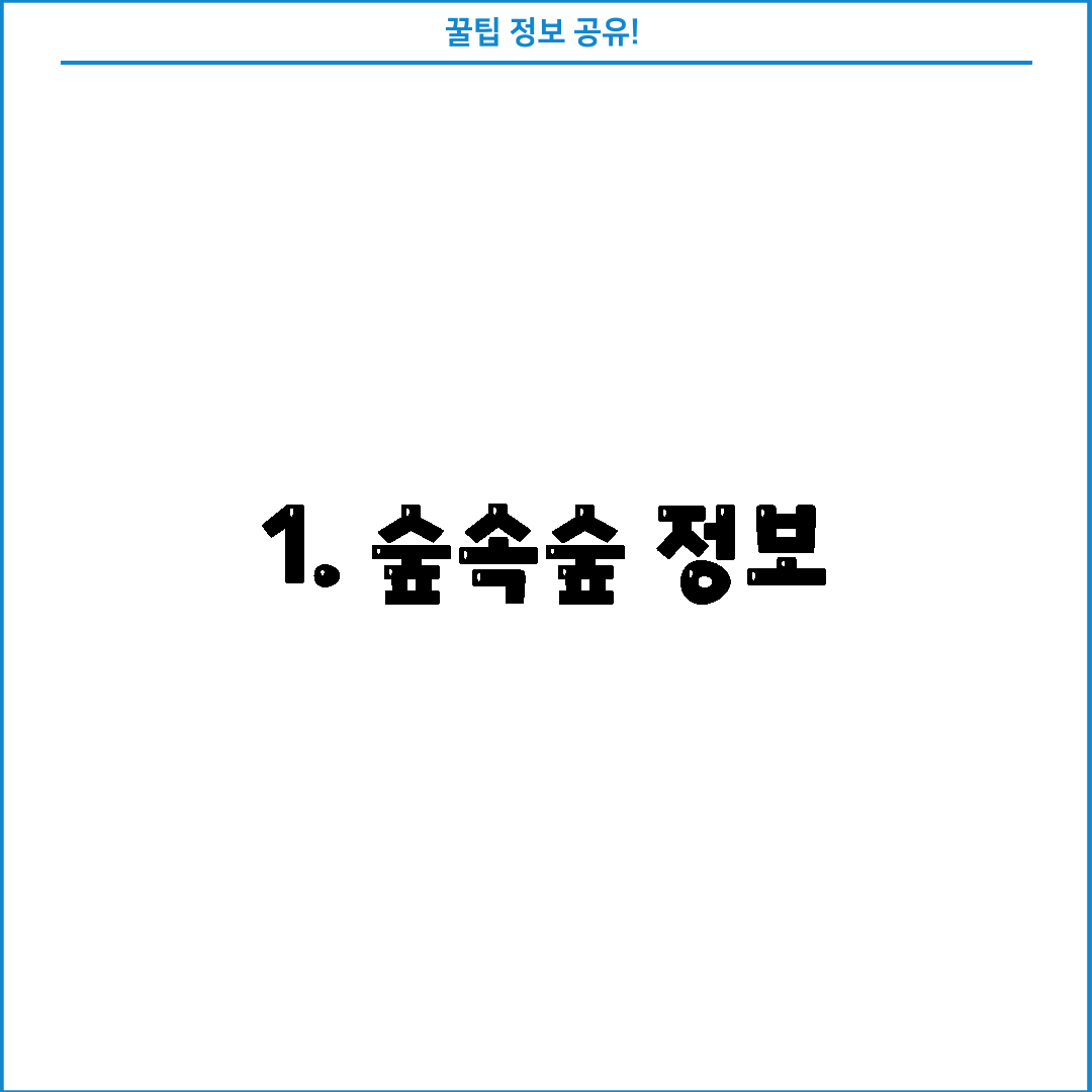 1. 숲속숲 정보