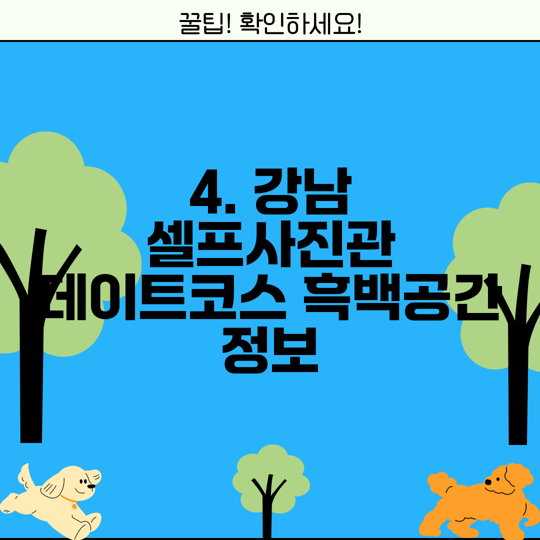4. 강남 셀프사진관 데이트코스 흑백공간 정보
