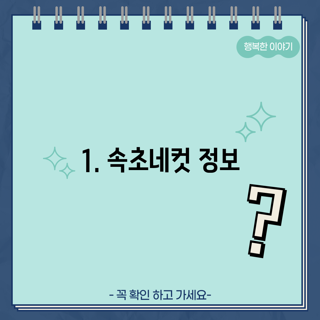 1. 속초네컷 정보