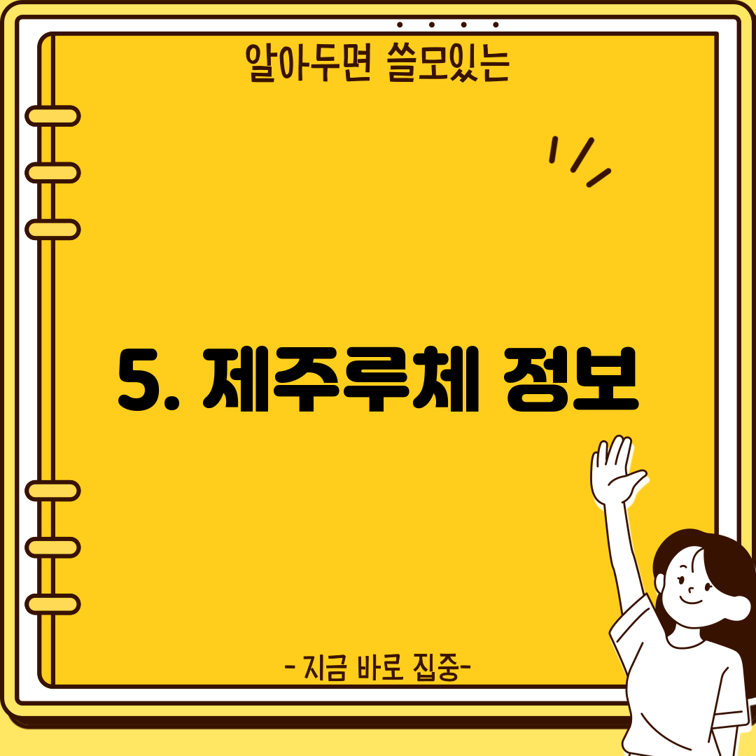 5. 제주루체 정보