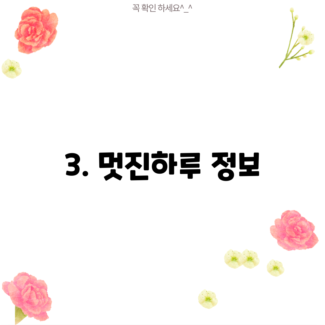 3. 멋진하루 정보