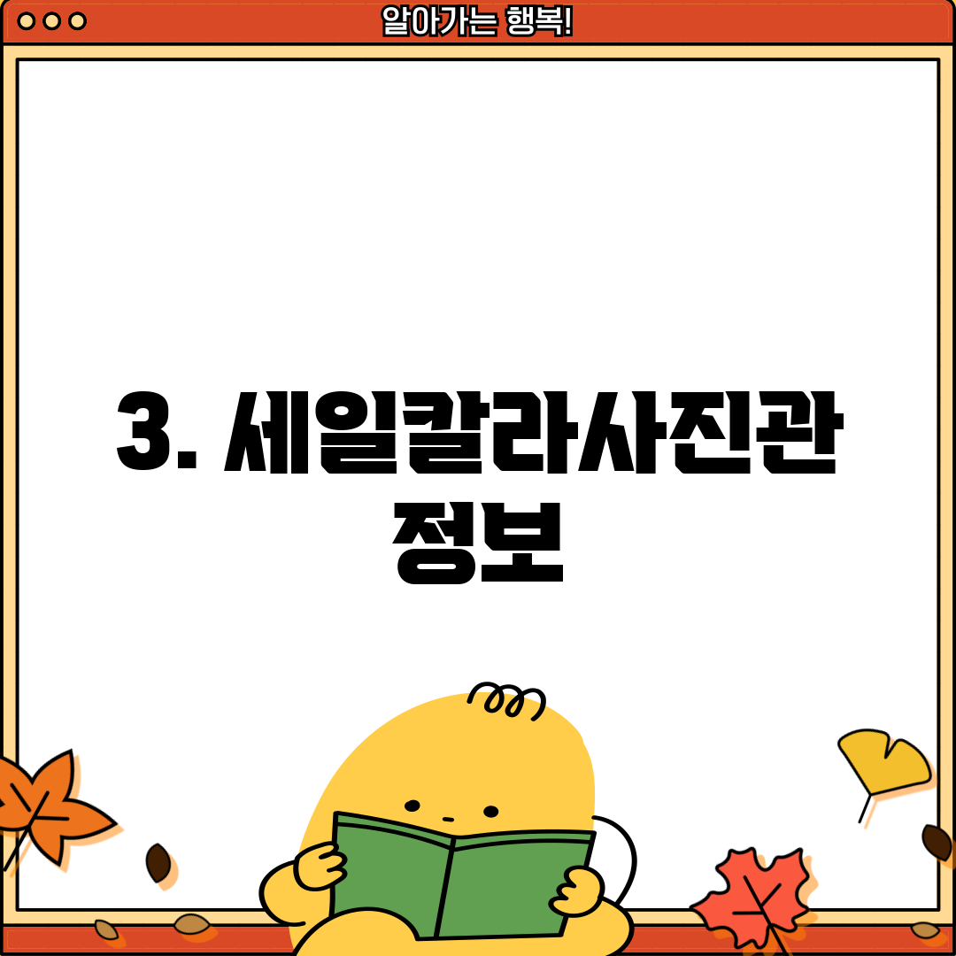 3. 세일칼라사진관 정보