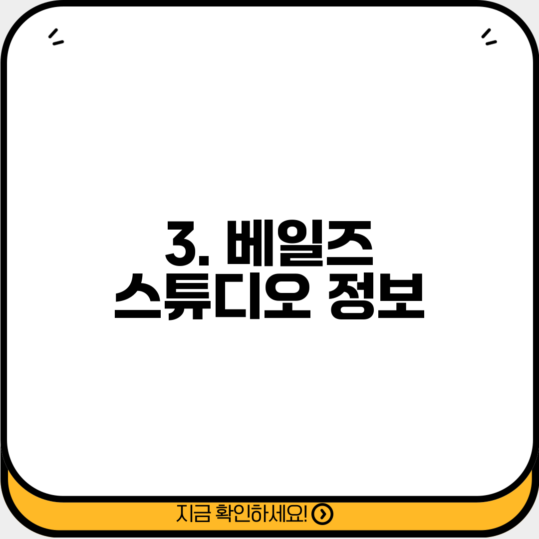 3. 베일즈 스튜디오 정보