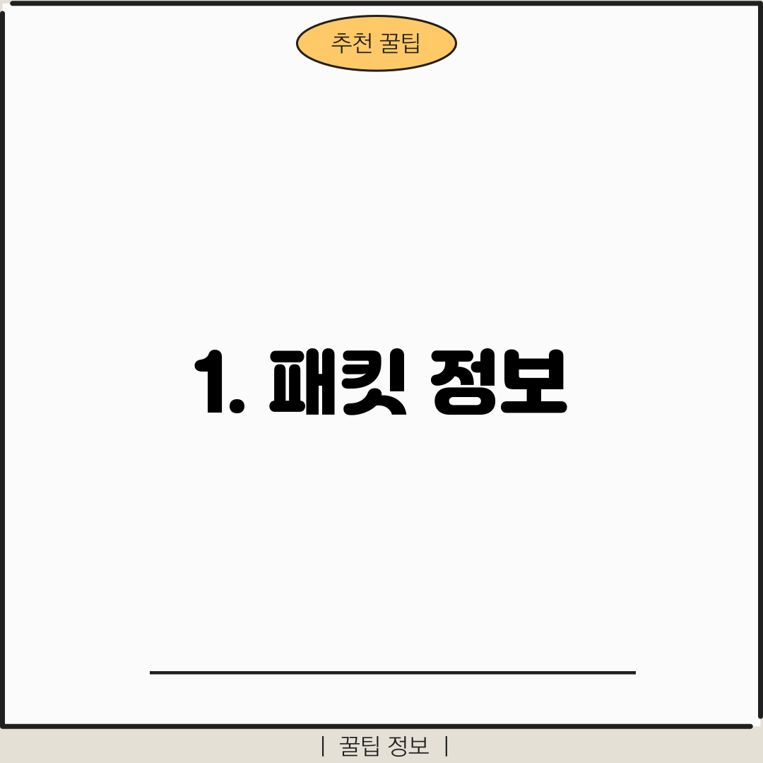 1. 패킷 정보