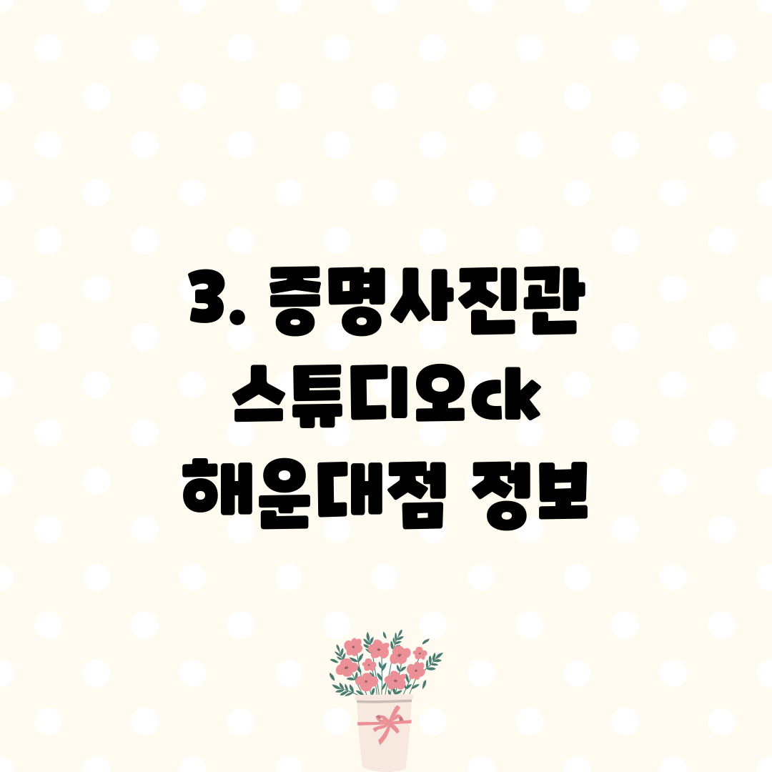 3. 증명사진관 스튜디오ck 해운대점 정보