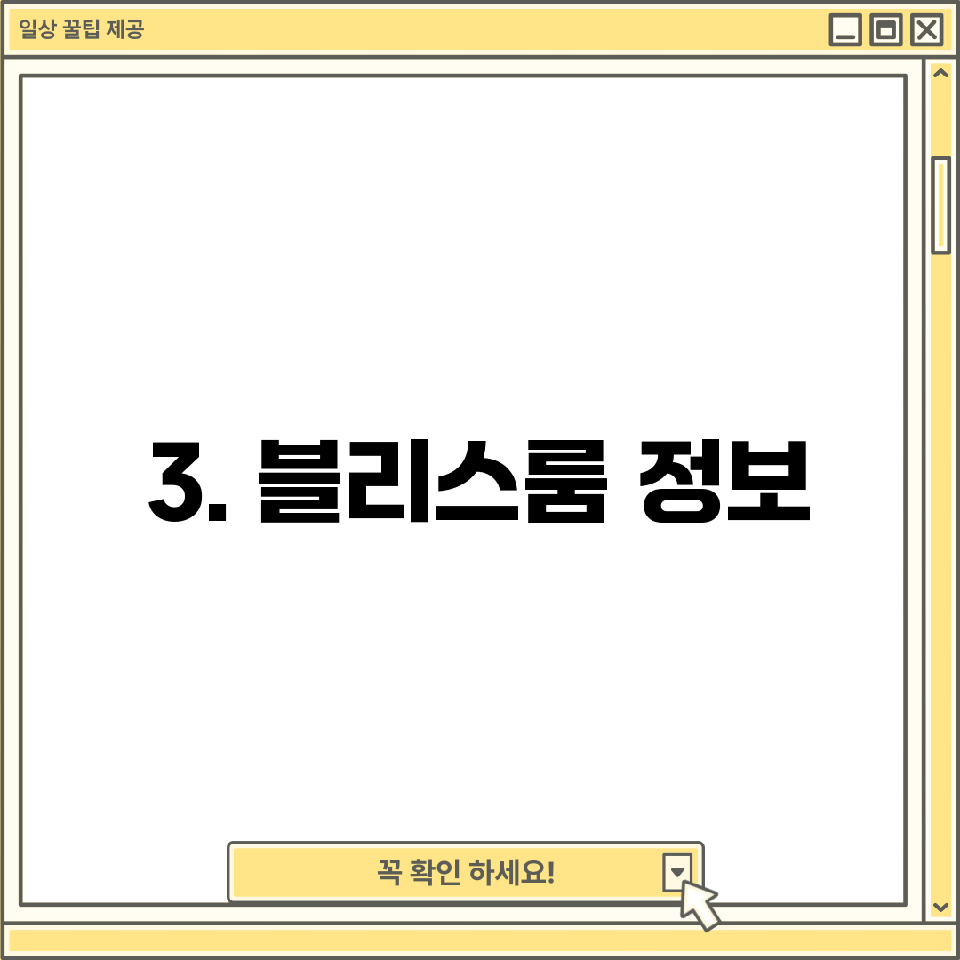 3. 블리스룸 정보