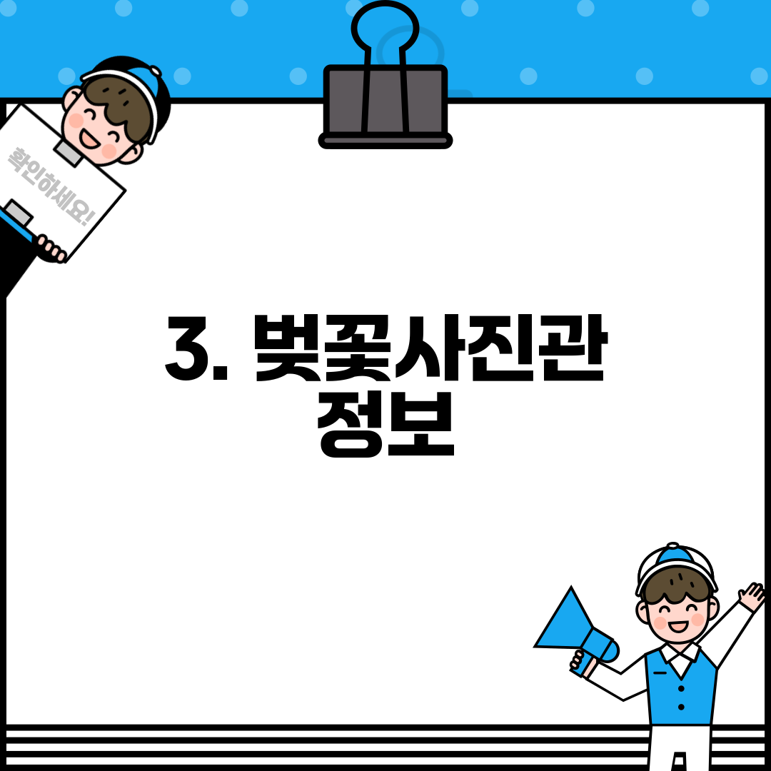 3. 벚꽃사진관 정보
