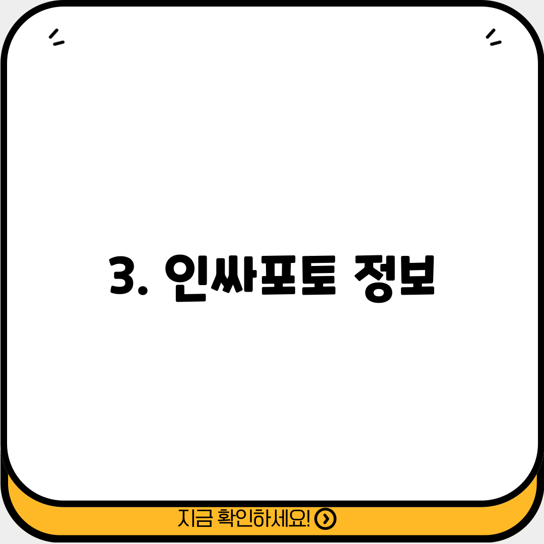 3. 인싸포토 정보