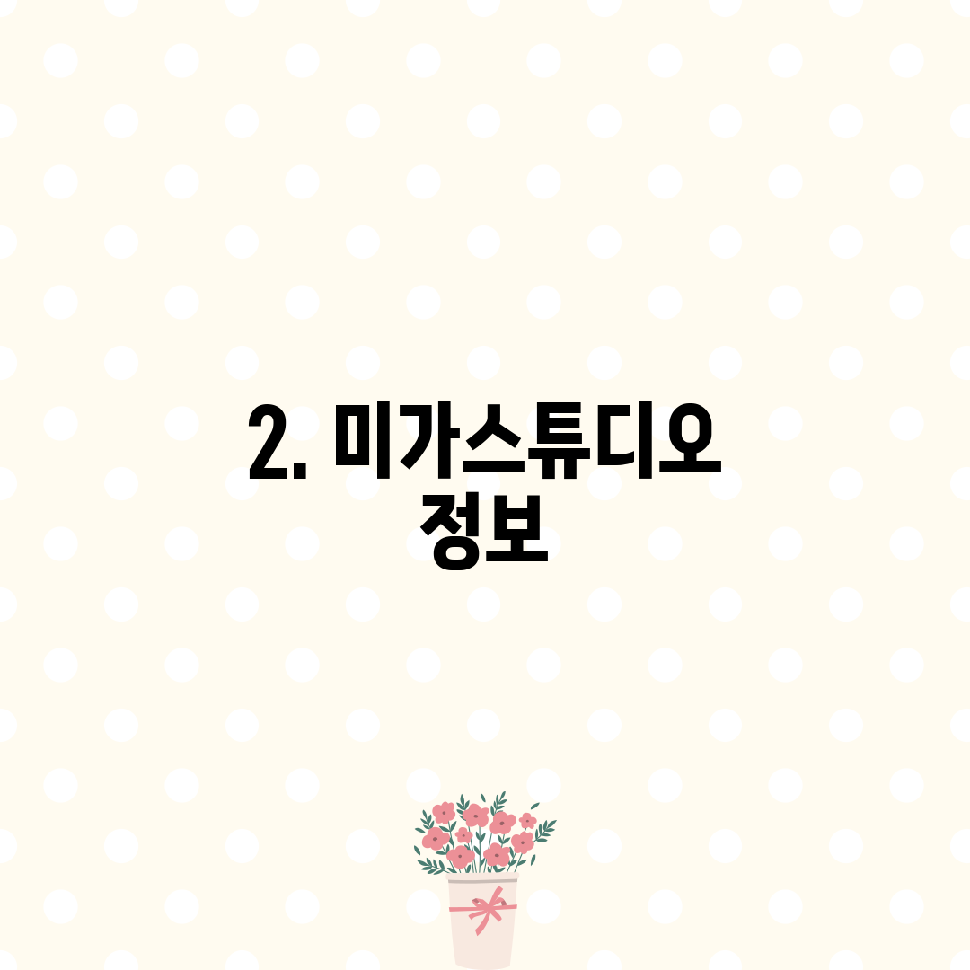 2. 미가스튜디오 정보