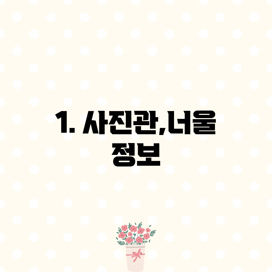 1. 사진관,너울 정보
