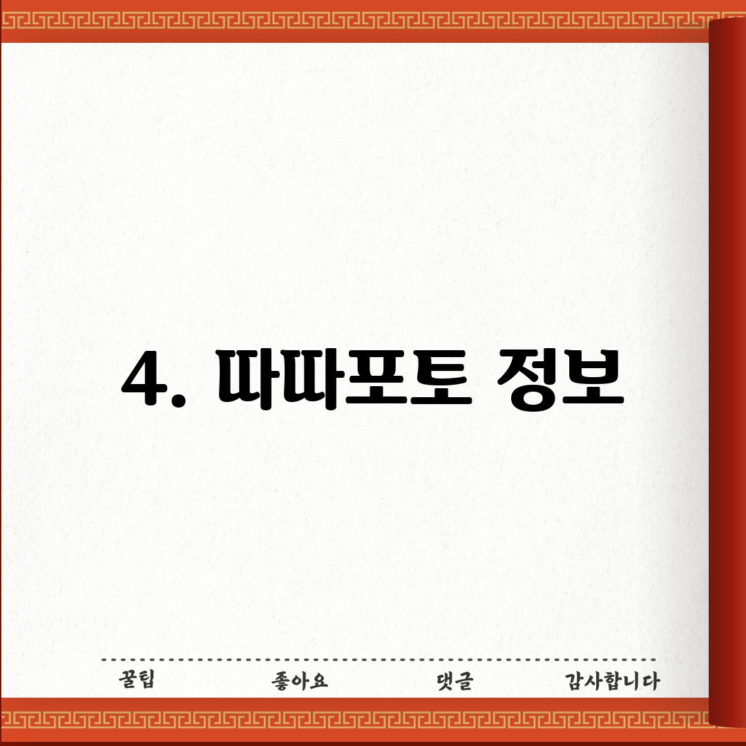 4. 따따포토 정보
