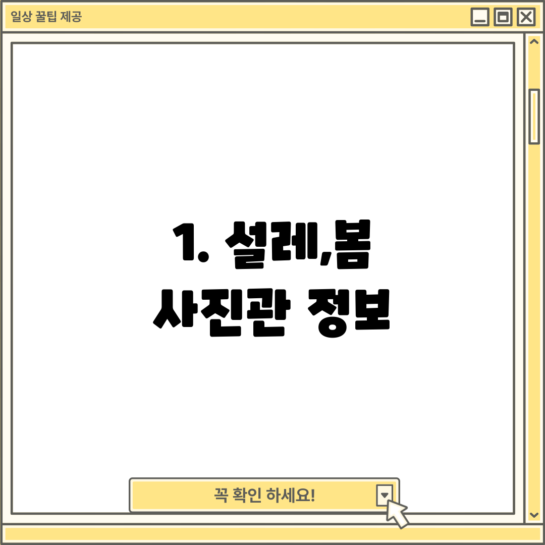1. 설레,봄 사진관 정보
