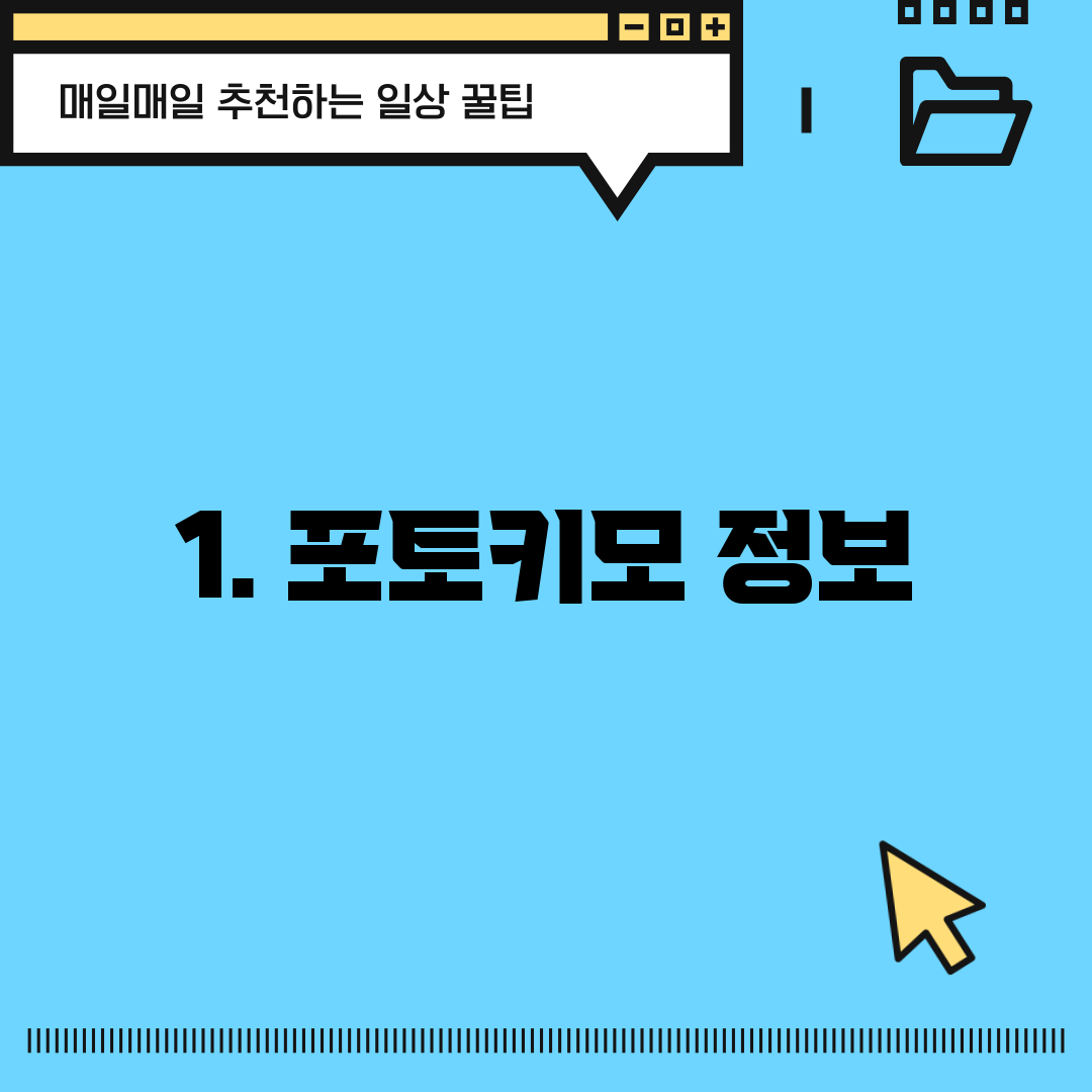 1. 포토키모 정보