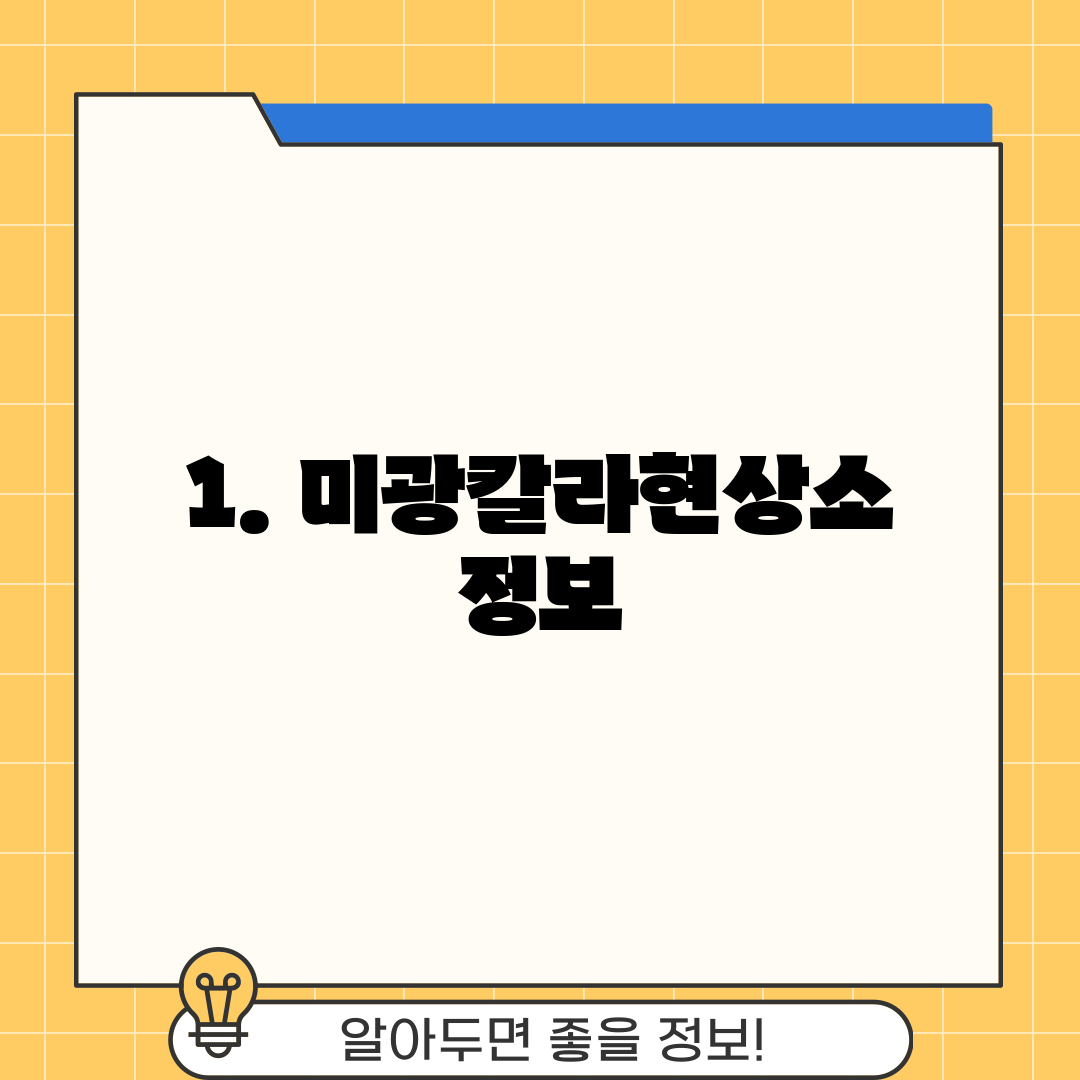 1. 미광칼라현상소 정보