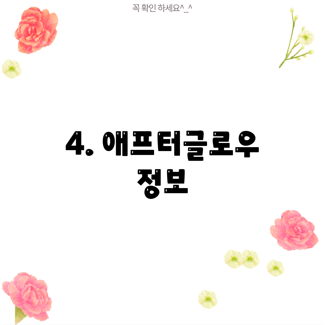 4. 애프터글로우 정보