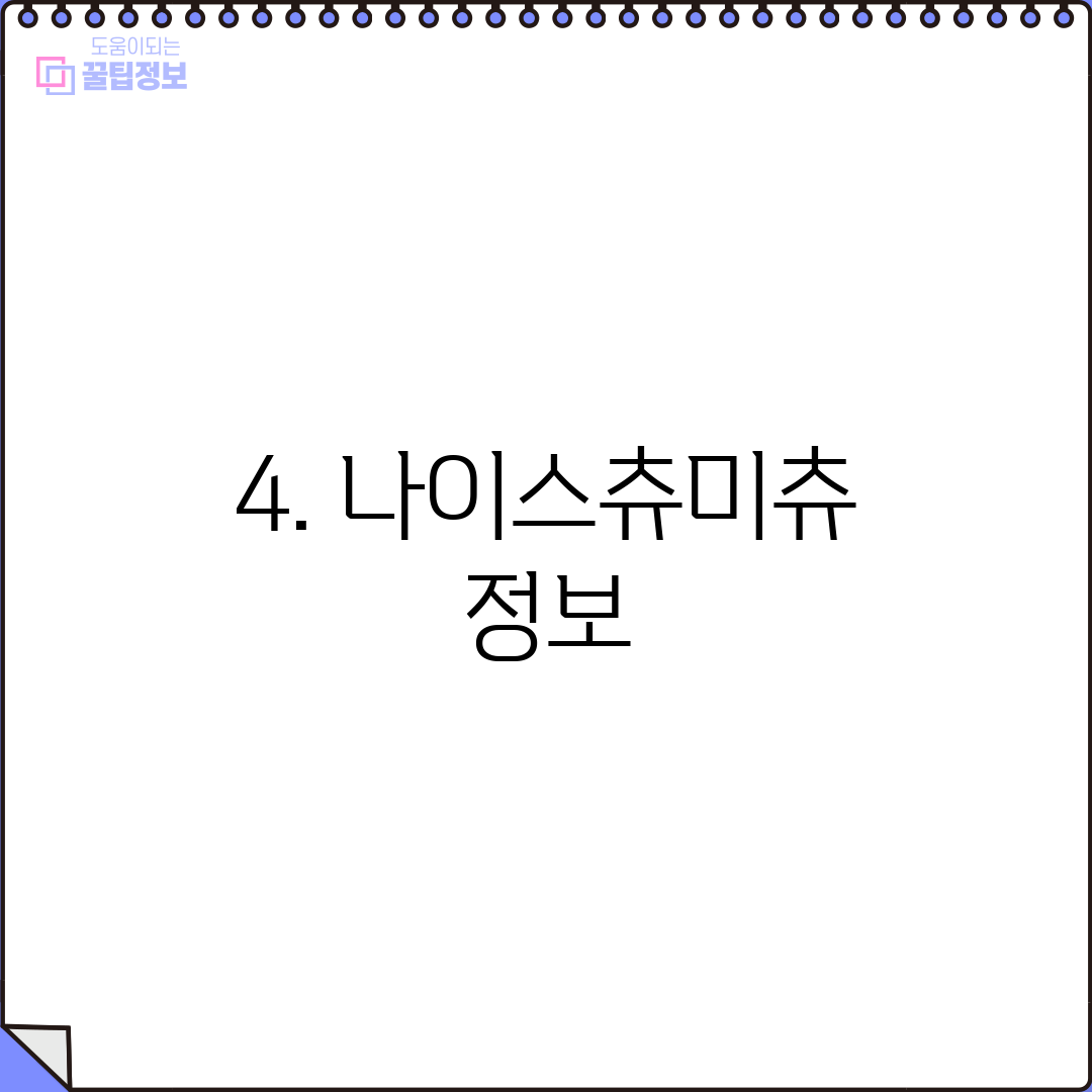 4. 나이스츄미츄 정보