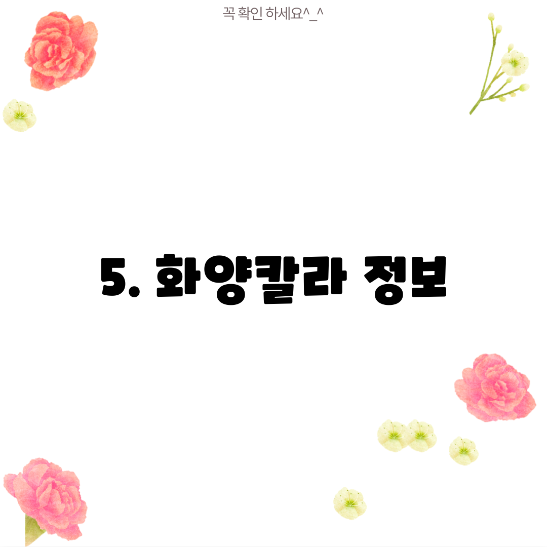 5. 화양칼라 정보