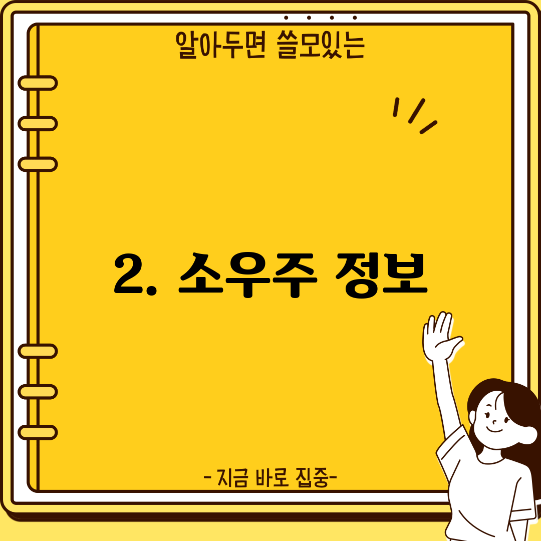 2. 소우주 정보