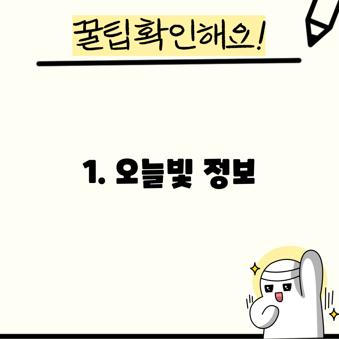 1. 오늘빛 정보